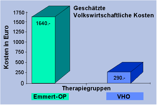 volkswirtschaftliche Kosten